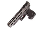 ZEV Z34 Dragonfly Gray 3rd Gen RMR Gun Modification - View 2