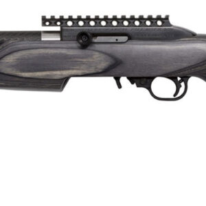 SSEBP22G.jpg