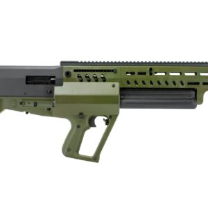 TS12OG2-scaled.jpg