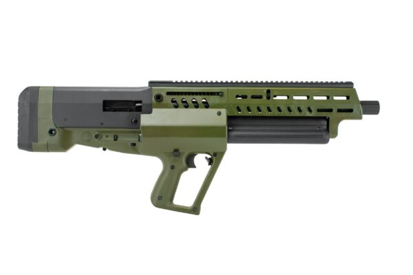 TS12OG2-scaled.jpg
