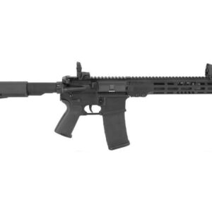 hgn-arml-m15p11.jpg