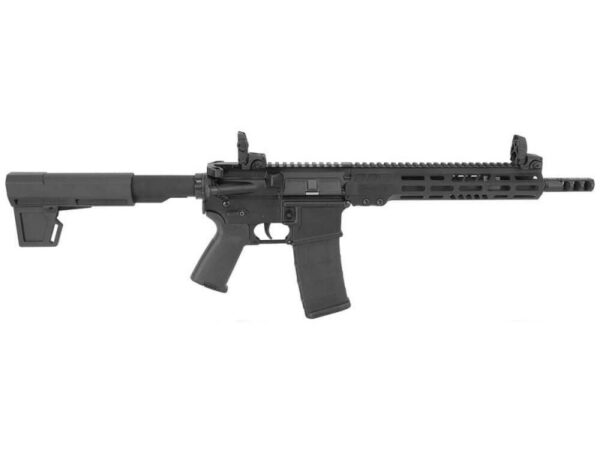 hgn-arml-m15p11.jpg