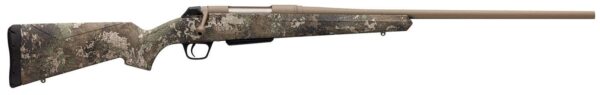 37039-798489.jpg