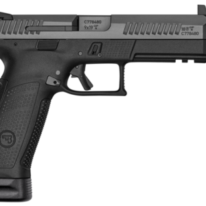 P10FSR-R-1024x682.png