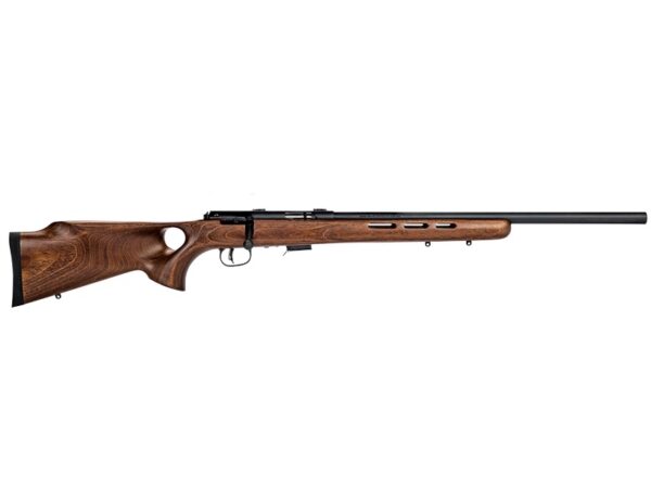 SV93R17_BTV.jpg
