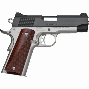 procarryii_profile.png