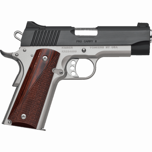 procarryii_profile.png
