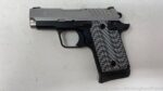 Springfield Armory 911 9mm PG9119S - View 5