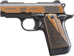 KIMBER 9MM MICRO RAPTOR NS COLLECTORS EDITION 3700602 - View 3