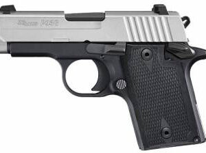 9389TNBSAMBI.jpg