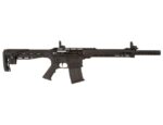 Legacy Sports Citadel AR12 BOSS 25 12 Ga 18.5″ Barrel CBOSS2512 - View 1