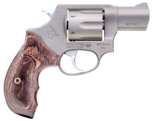 taurus_856_1_5.jpg