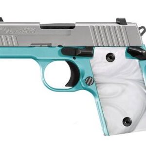 SI9389REBAMBI.jpg