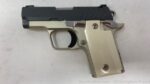 Springfield Armory 911 Platinum Graphite Springfield 380 PG9109PG - View 4