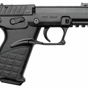 P17-Model-Feature-1.png
