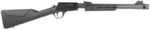 rossi_gallery_1.png
