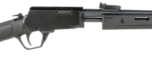 rossi_gallery_1.png
