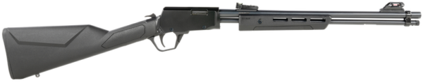 rossi_gallery_1.png