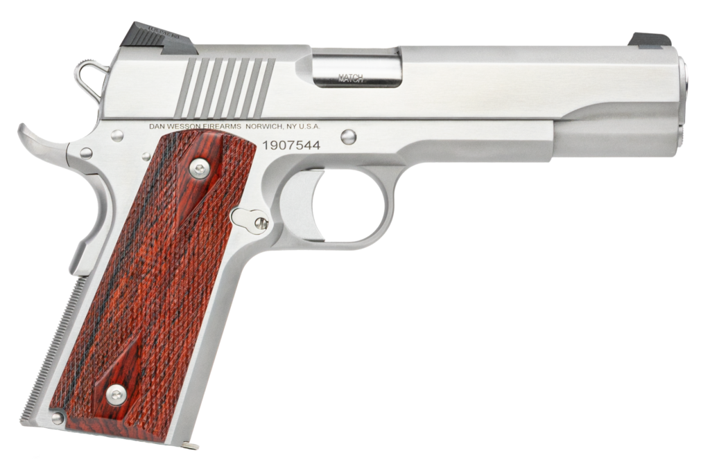 Dan Wesson Razorback 10mm RZ-10 Stainless 5″ Barrel 01889