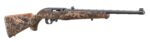 Used Ruger 10/22 22 LR TALO Mule Deer Walnut Stock 31161 - View 1