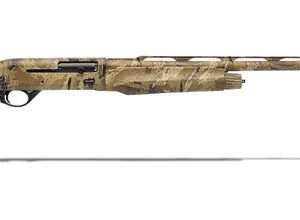 11198-Benelli.jpg
