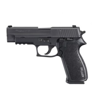 gag_220r45bse-50899.jpg