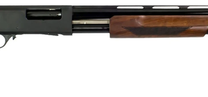 G-Force-GFP3-GFP31228WNT-643477862933.png