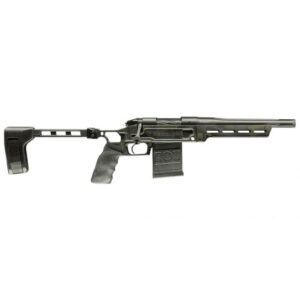 bergara_sidekick_223_wylde.jpg