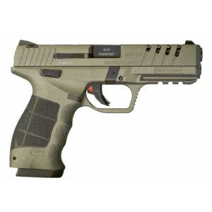 gun-2909.jpeg
