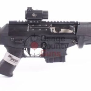 p556-10b-s-psb-02.jpg