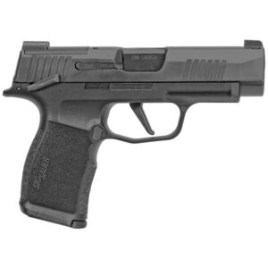2-sg365xl-9-bxr3-ms_a.jpg