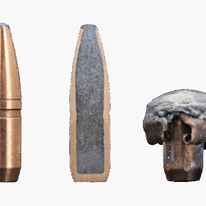 superhammerhead_0.png