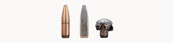 superhammerhead_0.png