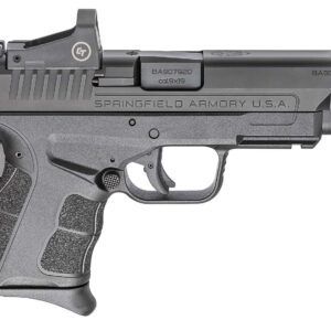 xds9m.jpg