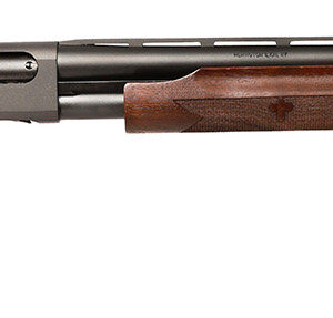 R68869.jpg