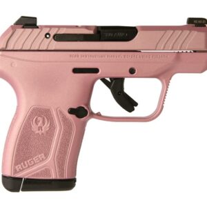 Ruger-LCP-MAX-13719-736676137190.jpg