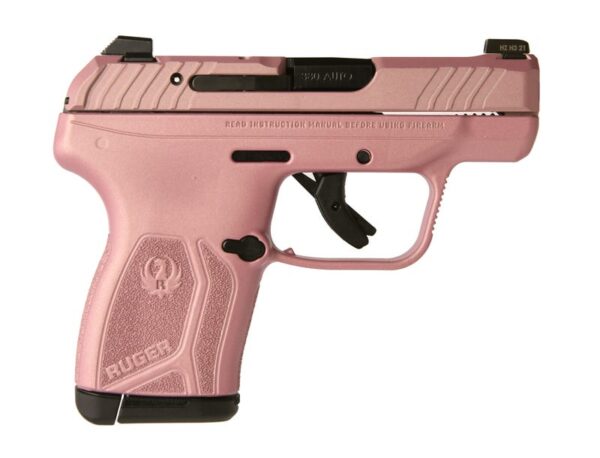 Ruger-LCP-MAX-13719-736676137190.jpg
