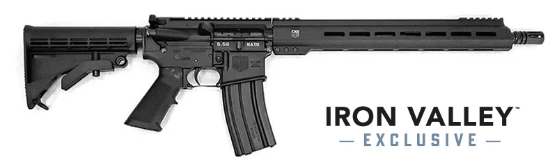 Diamondback DB15 556 NATO MLOK IRON VALLEY EXCLUSIVE DB173AK001