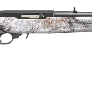 ruger_10-22_carbine_1_2.jpg