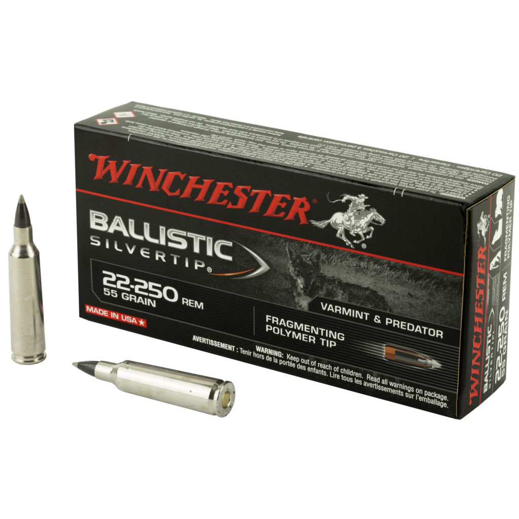 Winchester Ballistic Silver Tip 22-250 Rem Ammo 55 grain Tipped Case of 200 Rounds Bulk SBST22250B