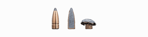gamehead_0.png