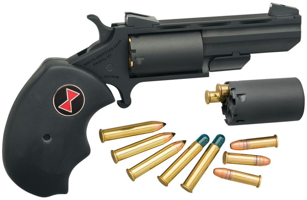 North American Arms True Black Widow 22 LR/Mag NAA-BWC-CRK