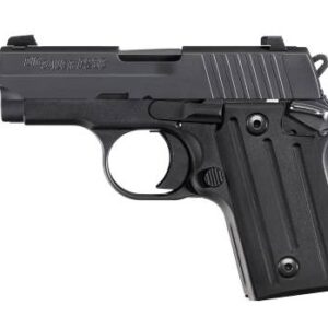 p238nitron.jpg