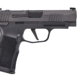 Sig-Sauer-P365-XL-365XL-9-BXR3P-MS-10-798681663910_1.jpg