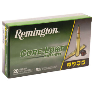 Remington Ammo-7mm Remington Magnum Ammo-112107.jpg