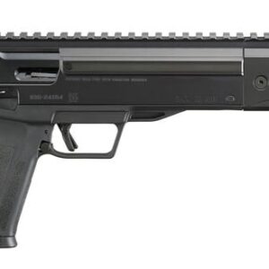 Ruger-LC-Charger-19303-736676193035.jpg