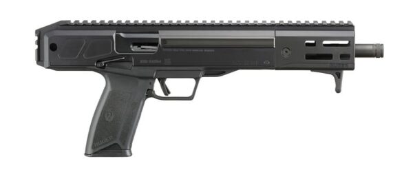 Ruger-LC-Charger-19303-736676193035.jpg