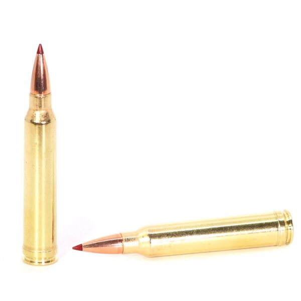 165_Grain_CX_Copper_Solid-300_Winchester_Magnum_Ammo-112853_1_.jpg