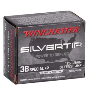 125_Grain_P_Jacketed_Hollow_Point-Winchester_USA_38_Special_Ammo-113003.jpg