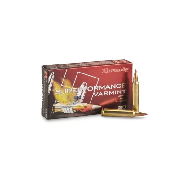 204_Ruger_Ammo-24_Grain-2479.jpg